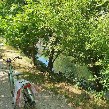 Le Clos Du Moulin Dijon,Niche En Pleine Verdure,Au Calme, La Campagne A La Ville Dış mekan fotoğraf