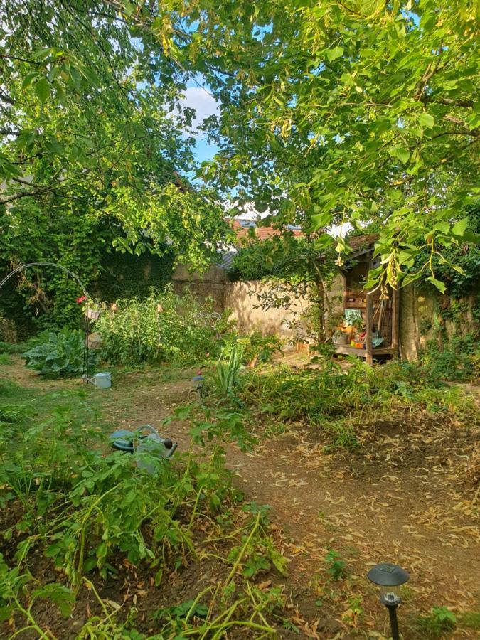 Le Clos Du Moulin Dijon,Niche En Pleine Verdure,Au Calme, La Campagne A La Ville Dış mekan fotoğraf
